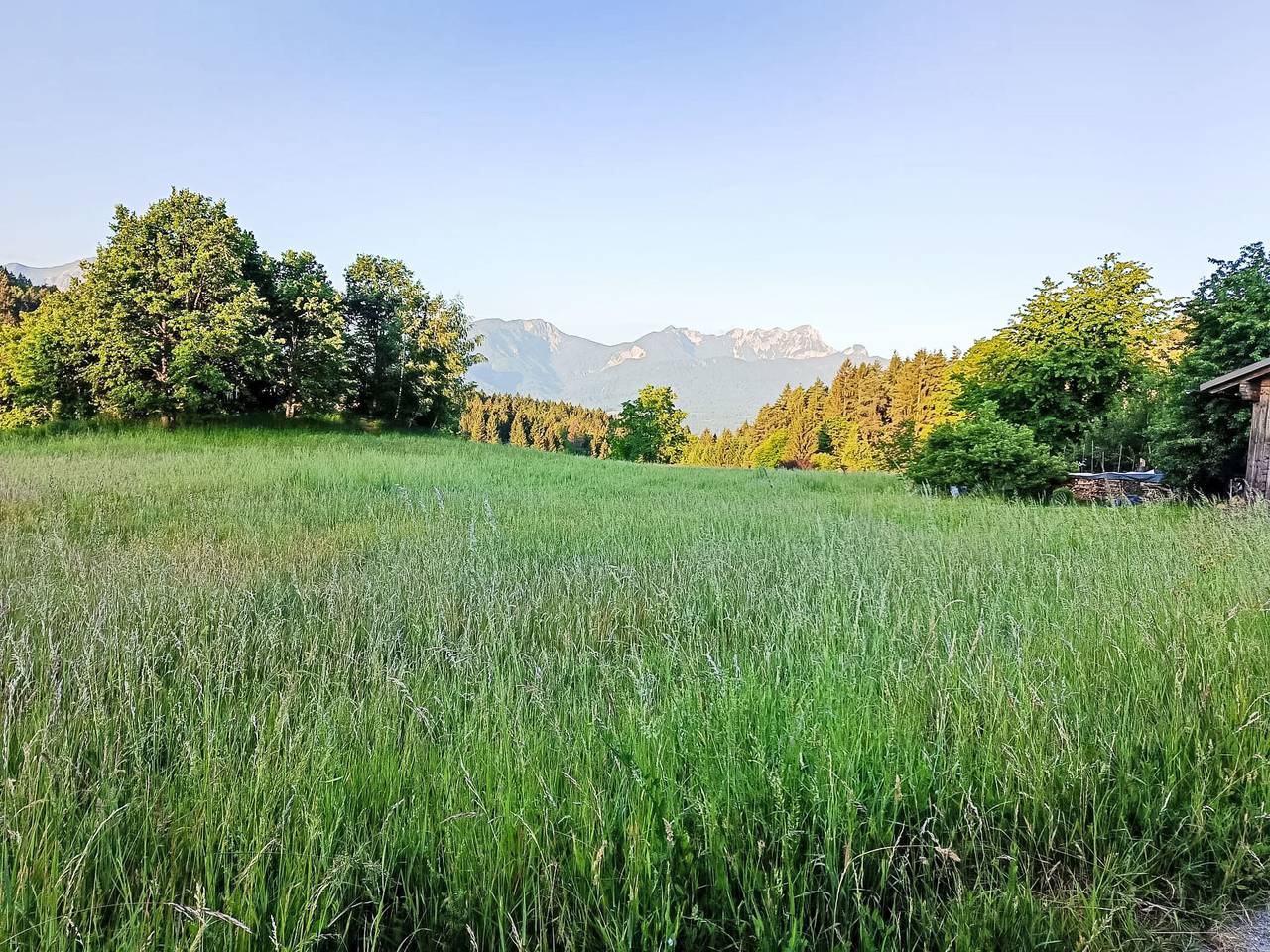 Idyllische Panorama-Südwohnung in Wörtherseenähe, foto 7