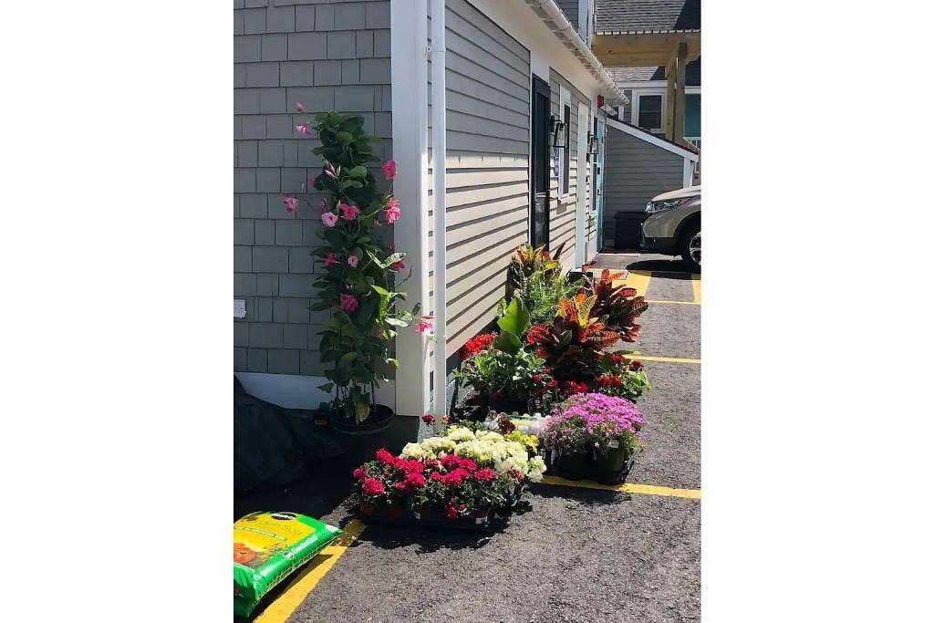 Swanky Flat in the Heart of Dock Square, Super Clean! Walk To Everything! in Kennebunk, York County