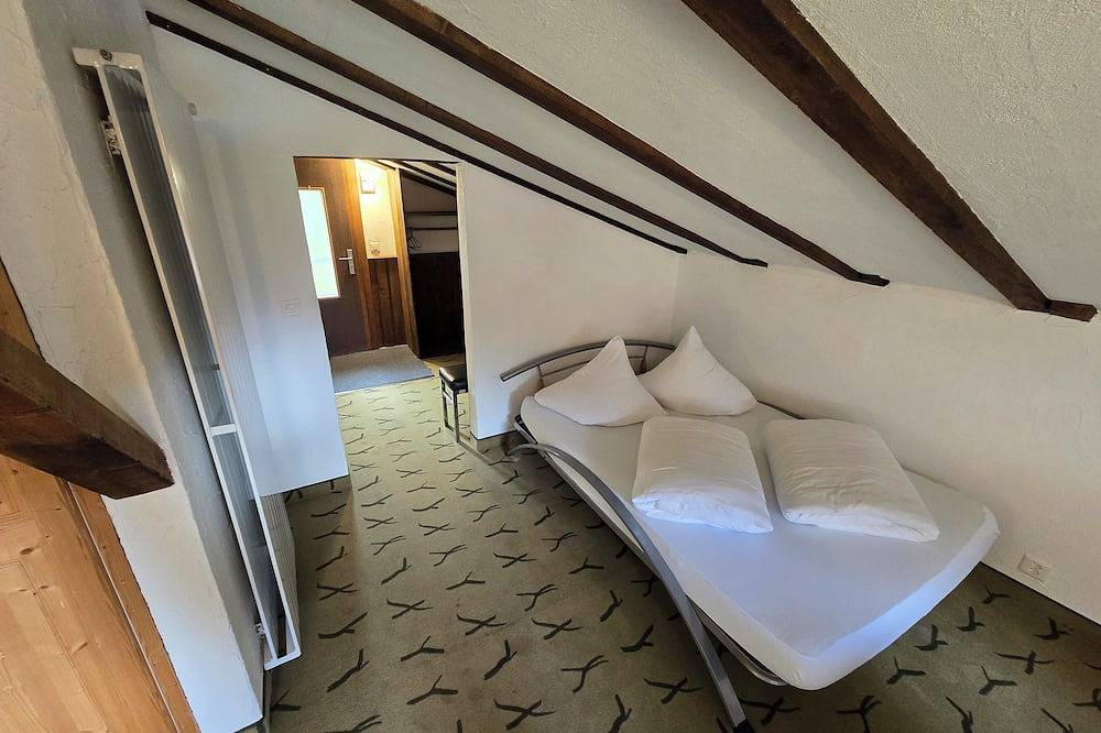 Ganze Wohnung, Charming Louisa Roof in den Schweizer Bergen in Sedrun, Tujetsch