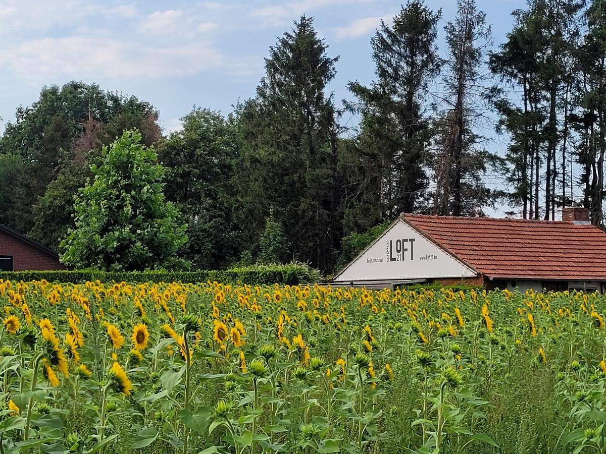 Deluxe Quadruple Room in Weelde, Ravels