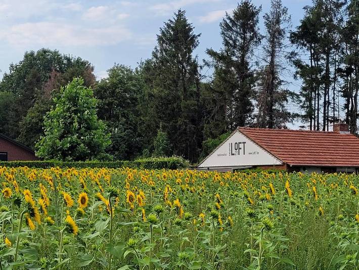Chambre d’hôte pour 4 personnes, avec Terrasse et Jardin ainsi que Piscine et Vue à Ravels