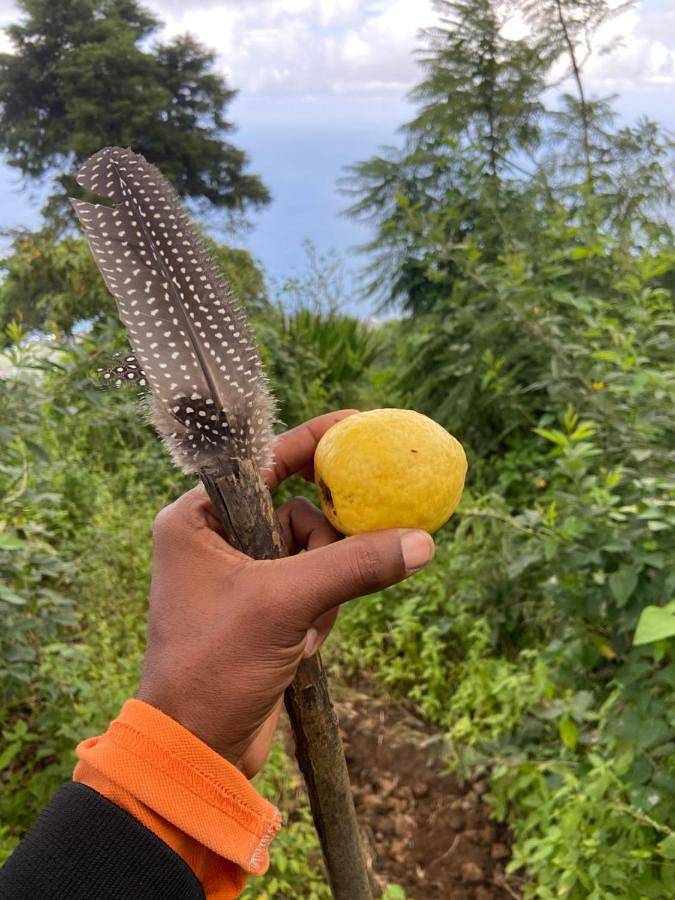 Maison d’hôte pour 3 personnes, avec jardin et vue dans Cap-Vert - 2