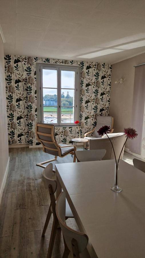 Appartement entier, Vaste appartement Le Family avec vue sur la Vienne in Chinon, Vallée de la Loire