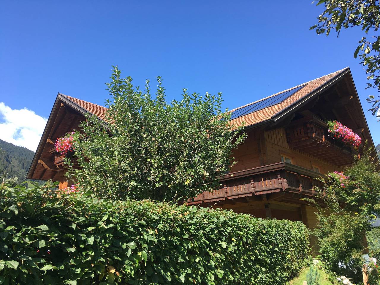 Ganze Ferienwohnung, Apartment Alpenrose in Gaschurn, Gaschurn und Umgebung