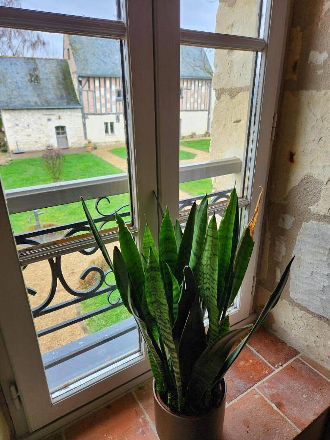 Chambre d'hôte de charme dans logis du Xve in Jumelles, Longué-Jumelles