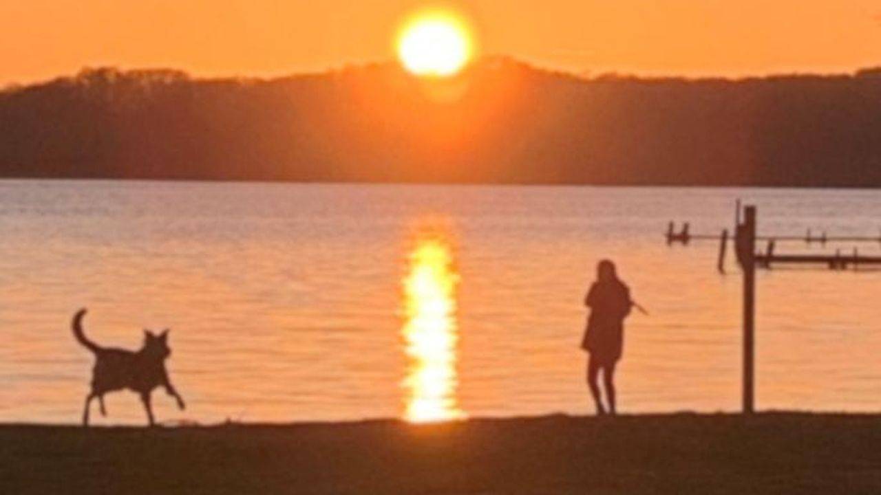 Ganze Ferienwohnung, Ferienwohnung für 2 Personen (26 m²) in Bosau in Bosau, Ostholstein