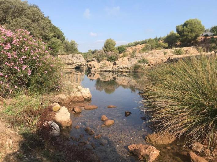 Apartamento de vacaciones para 2 personas, con vistas además de piscina y jardín en Comunidad Valenciana - 3