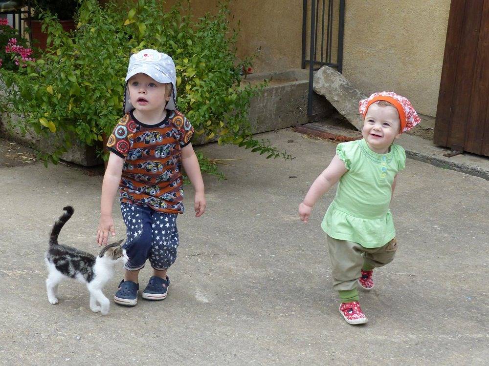 Ferienbauernhof Storchenhäusle - Rose in Simmershofen, Taubertal