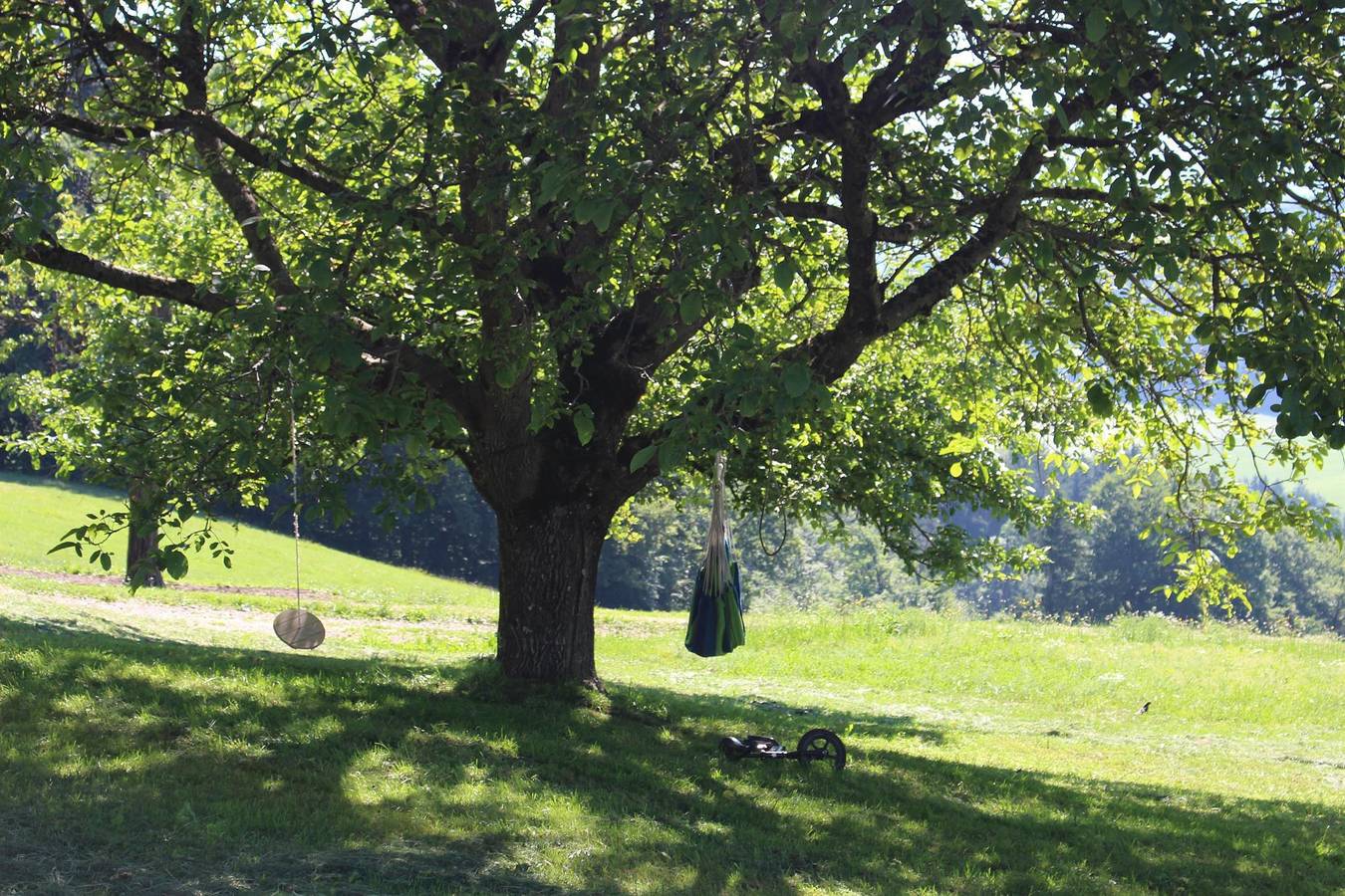 Ganze Ferienwohnung, Doppelzimmer mit Balkon in Breitenbach am Inn, Kaisergebirge