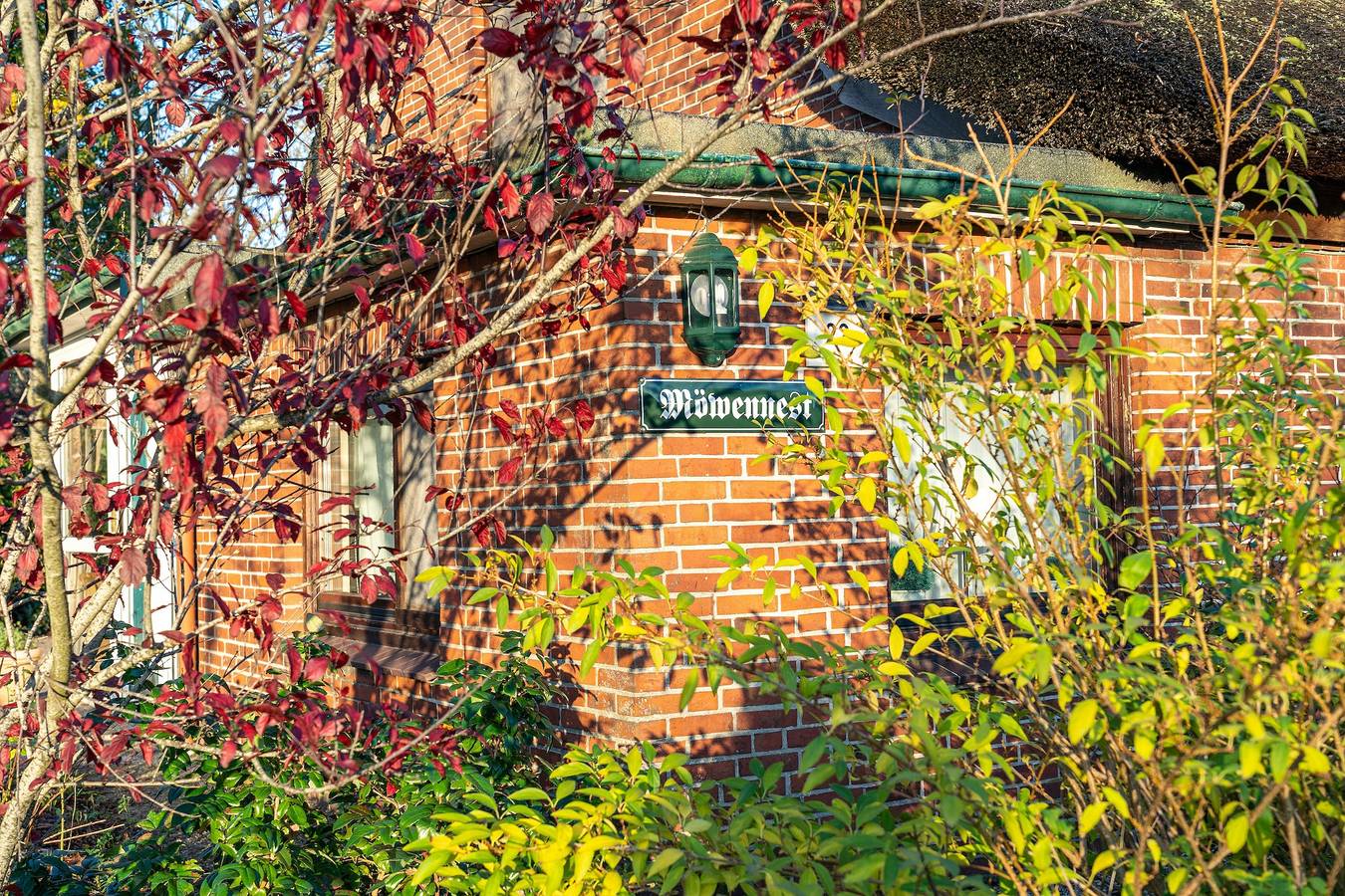 Ferienhaus Möwennest - 3-Raum-Ferienhaus in Büsum, Nordseeküste