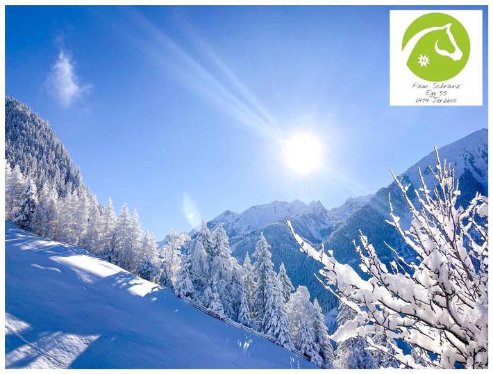 Gîte pour 2 personnes, avec vue, animaux acceptés à Jerzens - 3