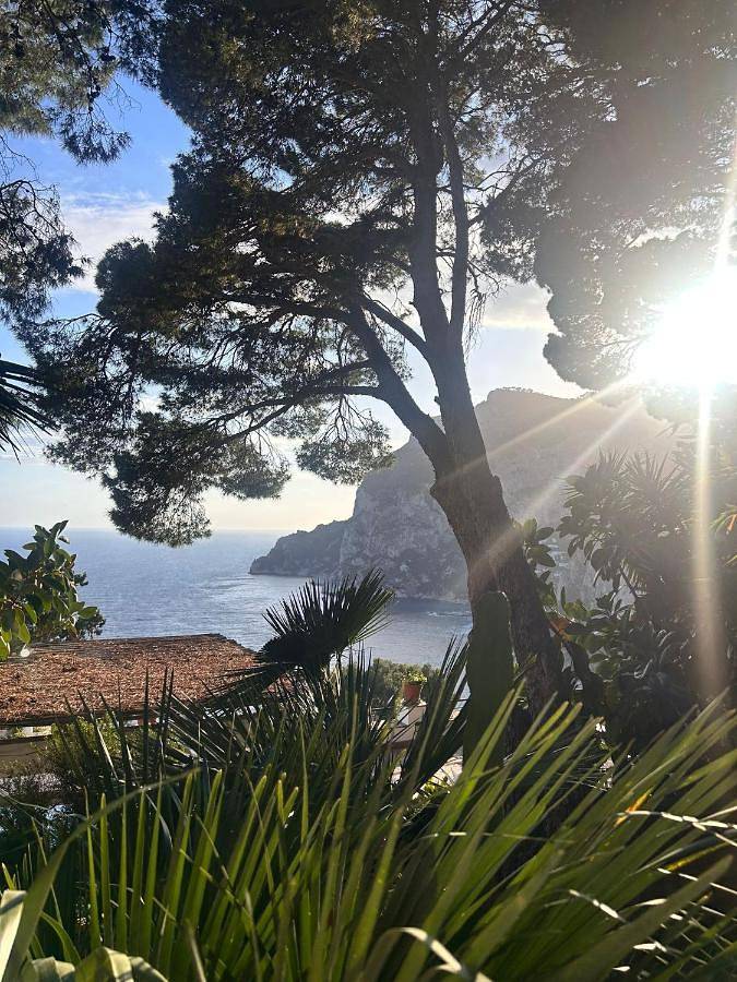 Chambre d’hôte pour 2 personnes, avec vue et jardin à Capri - 4