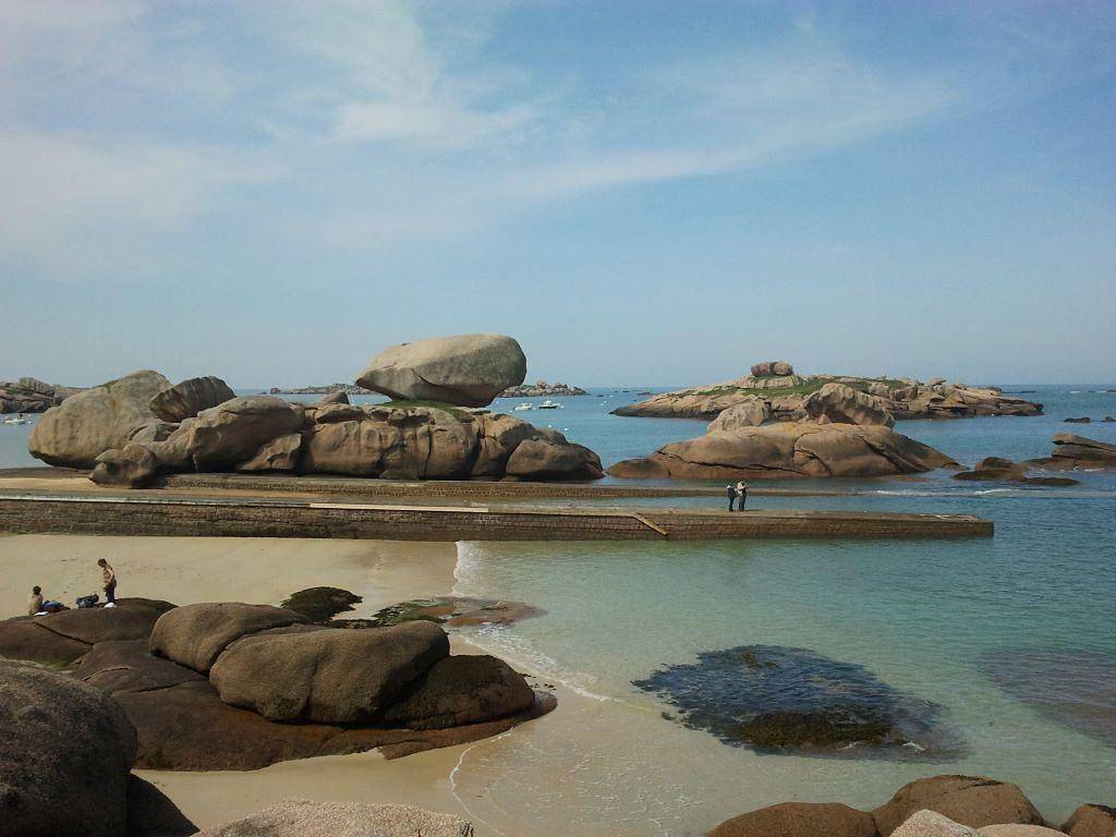 Les oliviers à Paimpol in Paimpol, Côte de Goëlo