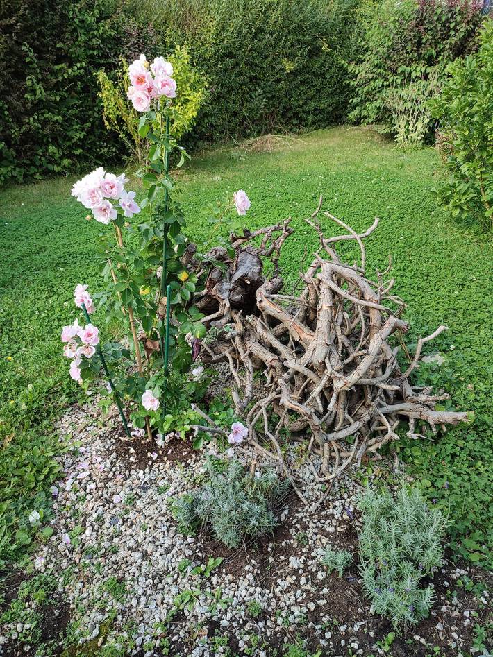 Ferienhaus für 2 Personen, mit Garten in Landkreis Haßberge - 4
