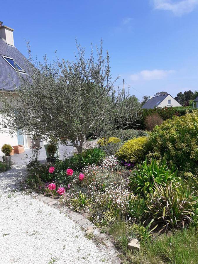 Double Room in Pleumeur-Bodou, Côte de Granit Rose