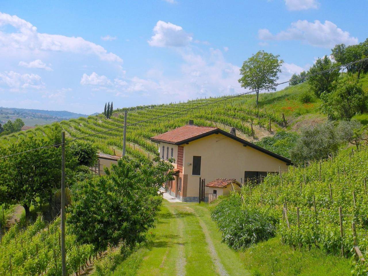 Cascina tra i vigneti a Nizza Monferrato in Nizza Monferrato, Provincia d'Asti