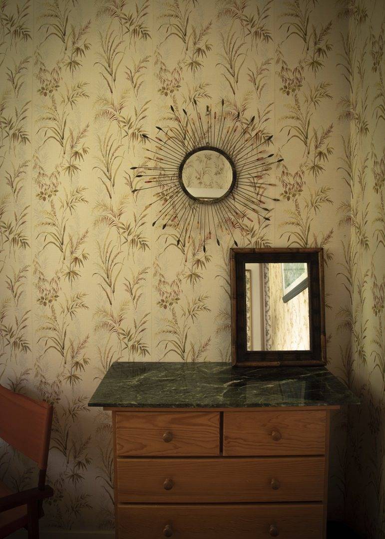 L'Étang des Saules - Chambre 1 in La Ferté-Saint-Cyr, Sologne