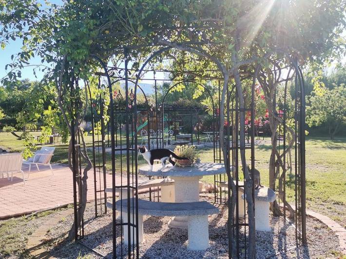 Gîte pour 3 personnes, avec jardin ainsi que vue et piscine à Modène