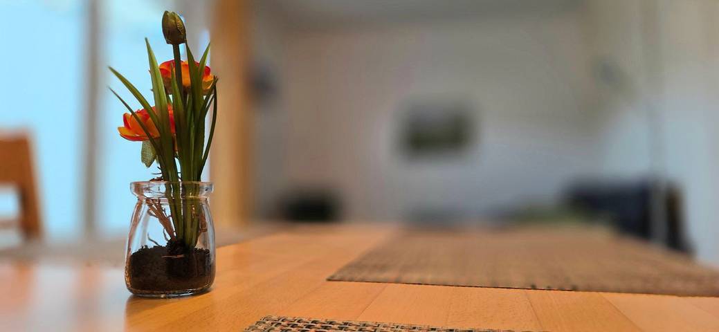 Ferienwohnung für 3 Personen, mit Terrasse in Gelbensande - 3