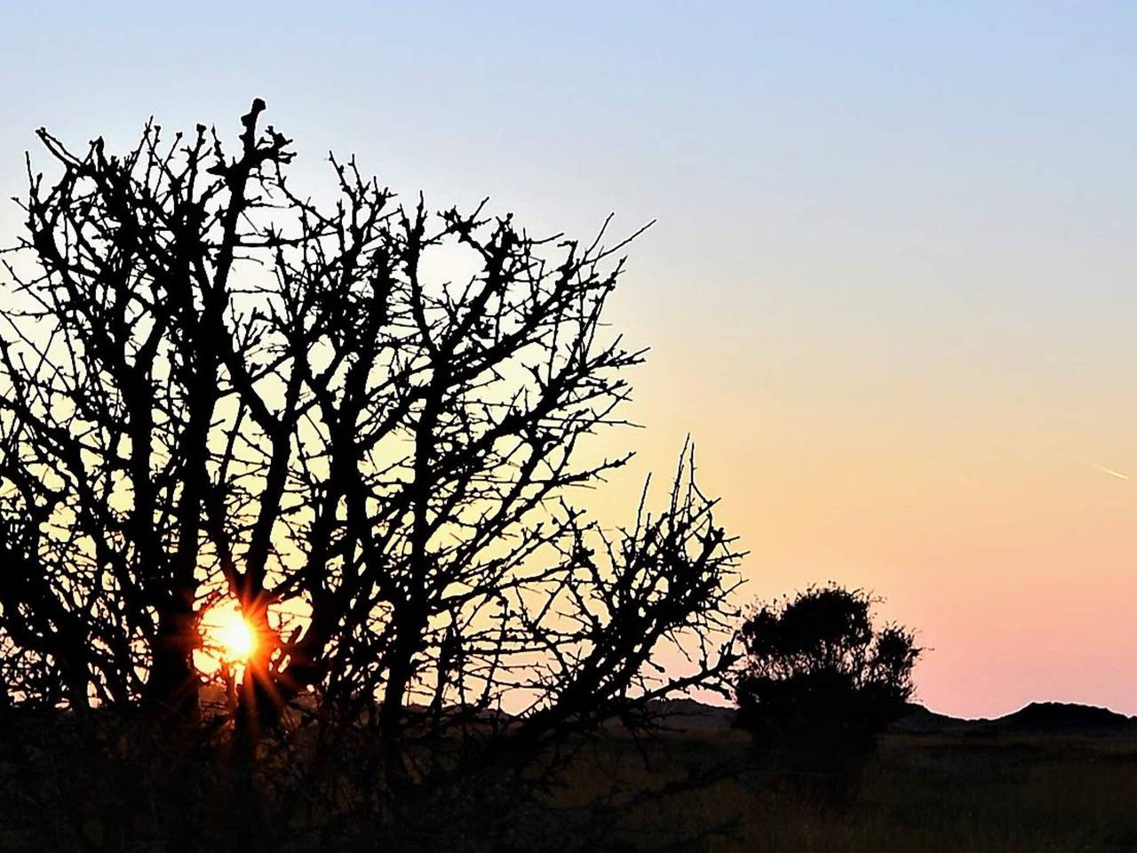 6 Personen Ferienhaus in Læsø in Nordmarken (Læsø), Østerby (Læsø)