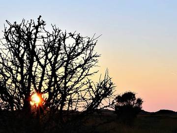 Ferieudlejning til 6 Personer i Østerby (Læsø), Læsø, Billede 4