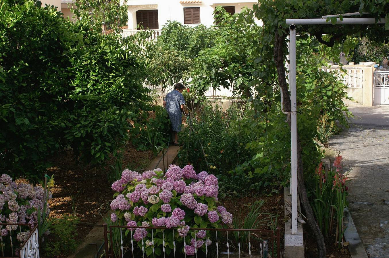 Ganze Wohnung, 3-Zimmer-Ferienwohnung mit Terrasse und Meerblick Zablace, Sibenik A-4220-c in Sibenik, Šibenik-Knin