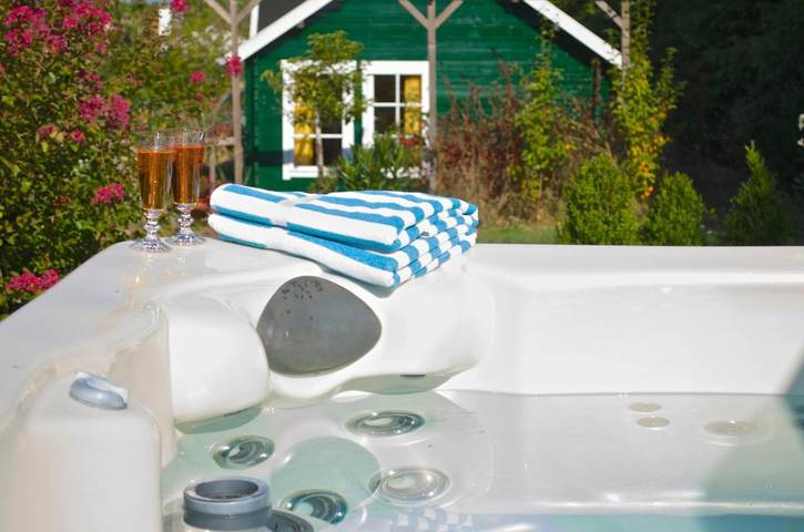 Gîte pour 3 personnes, avec jacuzzi et jardin ainsi que sauna et terrasse, animaux acceptés à Bonneuil-Matours - 2