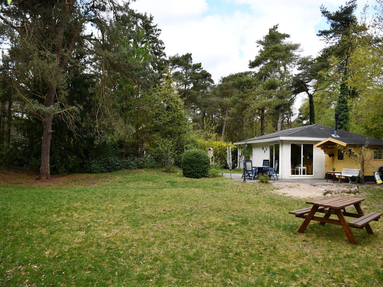 Mooi 4 persoons chalet met grote tuin op bosrijk vakantiepark in het Drents-Friese Wold in Nationaal Park Dwingelderveld