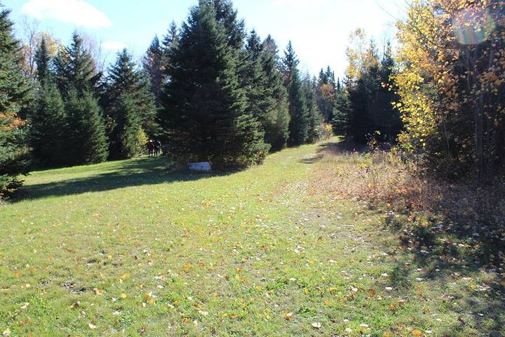 Blockhütte für 4 Personen, mit Garten - 1