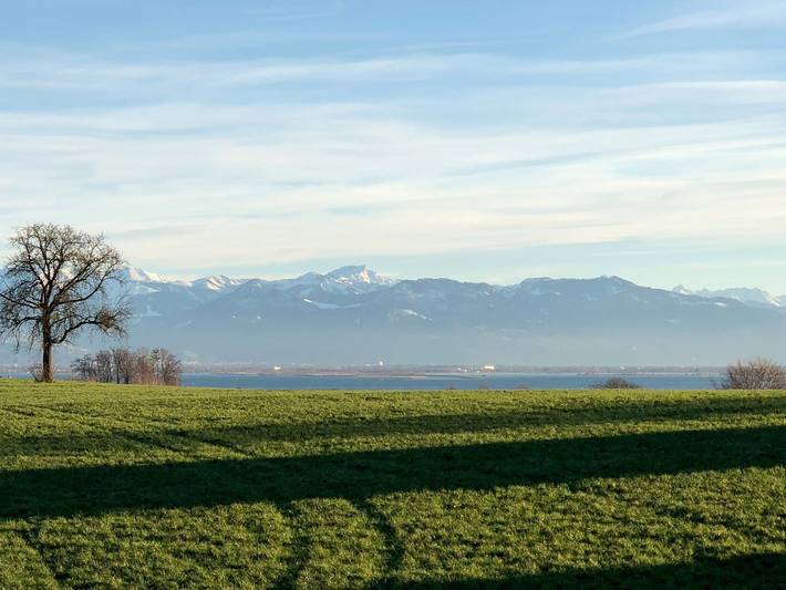 Ganze Wohnung, Ferienwohnung Seetraum - Hoch über dem See, großzügig mit großem Balkon in Kressbronn am Bodensee, Region Bodensee-Oberschwaben