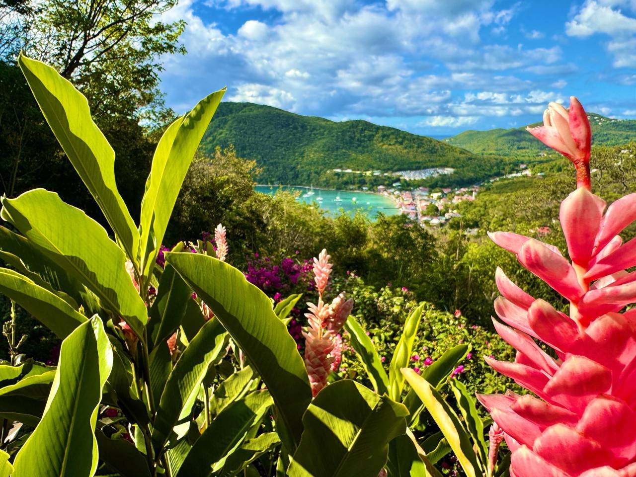 Ganze Wohnung, Apartment "Secret Lodge" mit Blick auf das Wasser in Deshaies, Guadeloupe