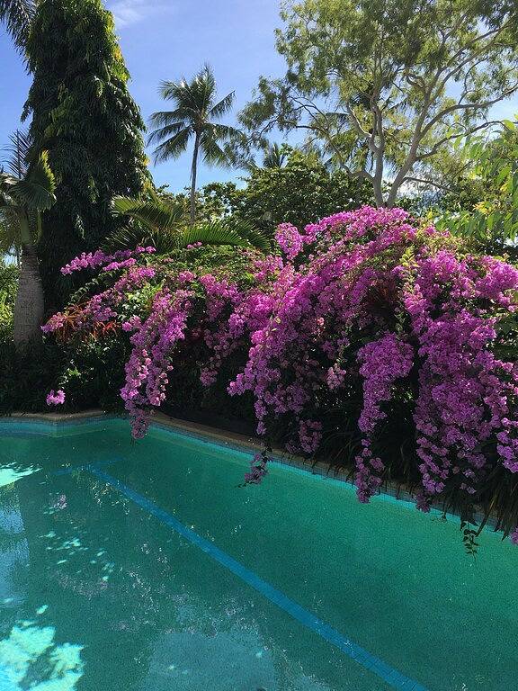 Casa Bella Vista - Luxus Haus am Strand in der Nähe von Great Barrier Reef in Holloways Beach, Cairns