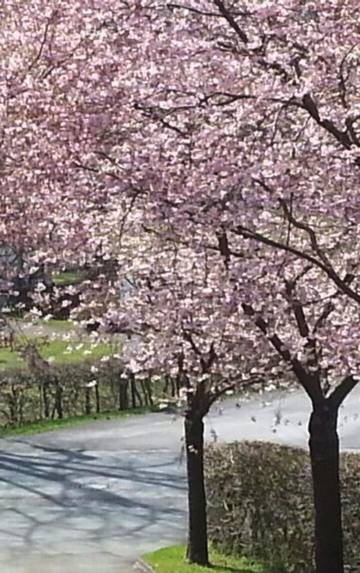 Ferienwohnung für 3 Personen, mit Garten in Neuastenberg