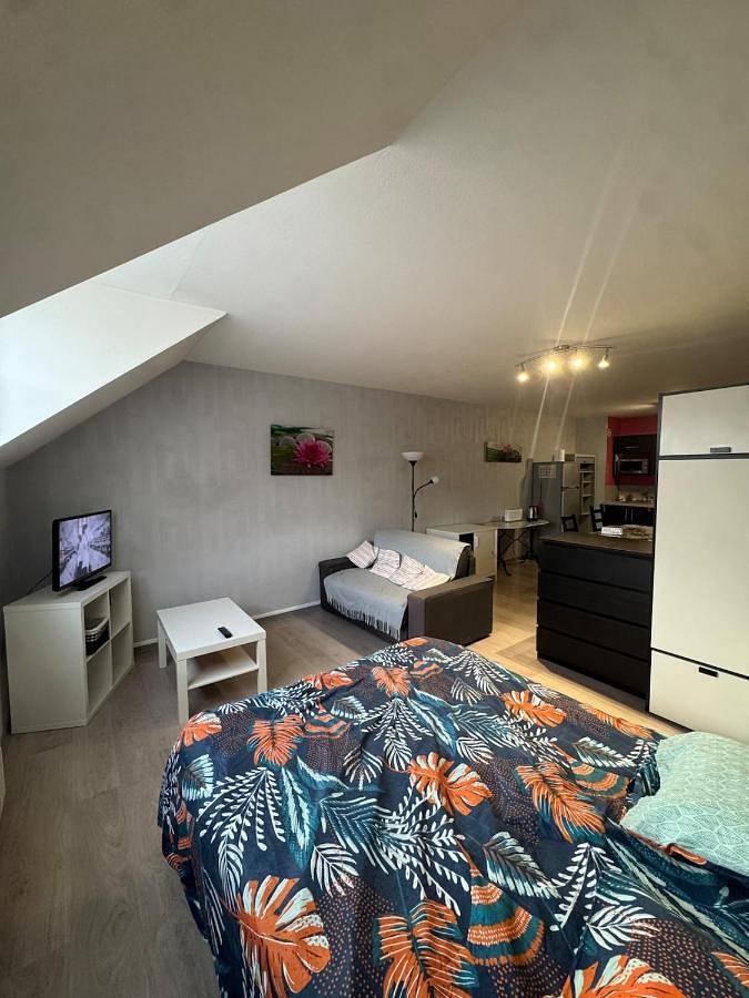 Appartement entier, Studio confortable proche thermes in Salins-les-Bains, Jura Francais