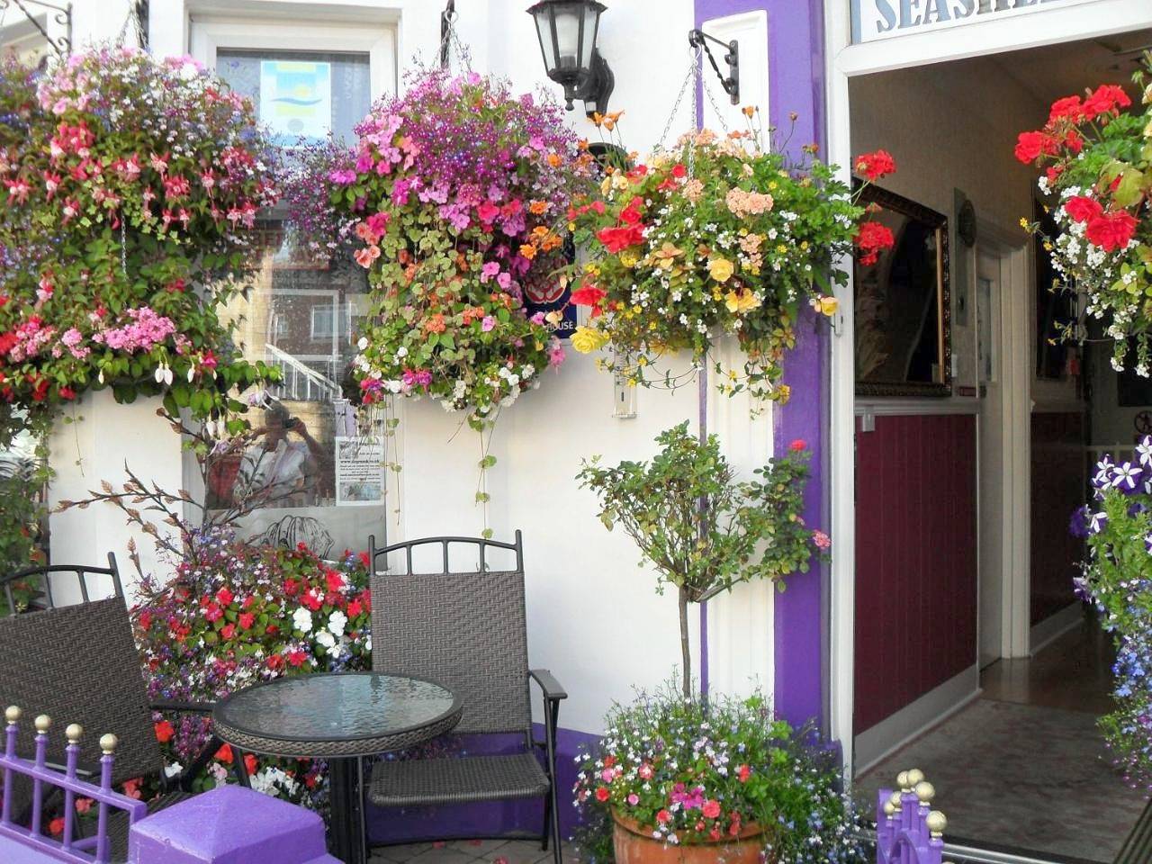 Seashells Guest House in Great Yarmouth, The Broads