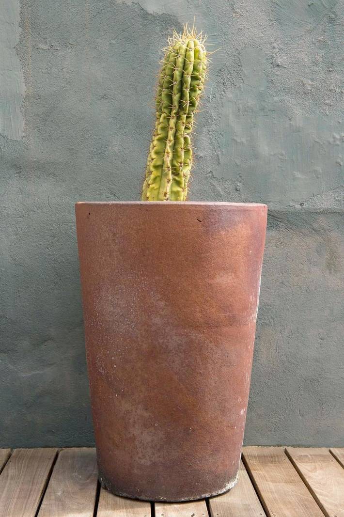 Gîte pour 6 personnes, avec piscine et terrasse dans Office De Tourisme Du Pays Des Sorgues Et Des Monts De Vaucluse - 4