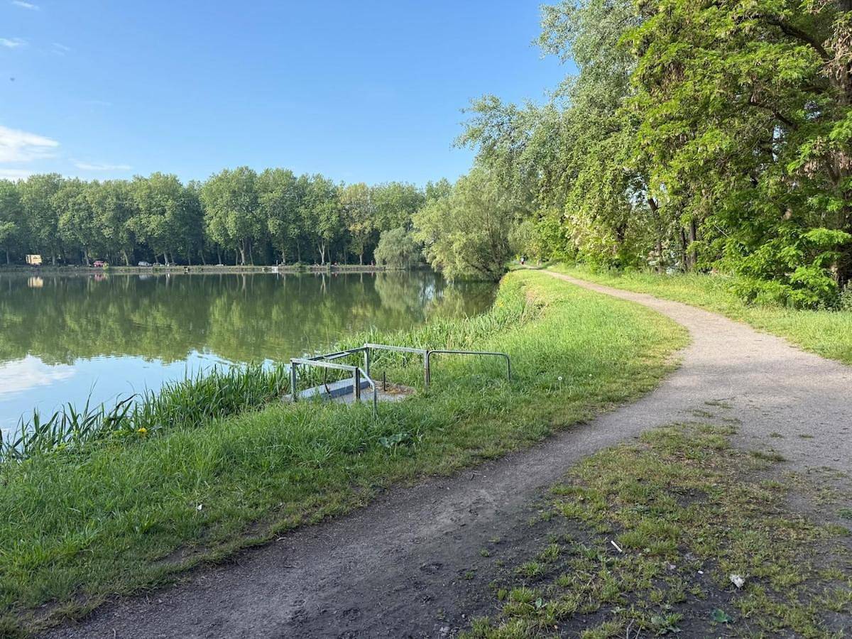 La maison du vivier face au plan d eau in Sin-le-Noble, Département Nord