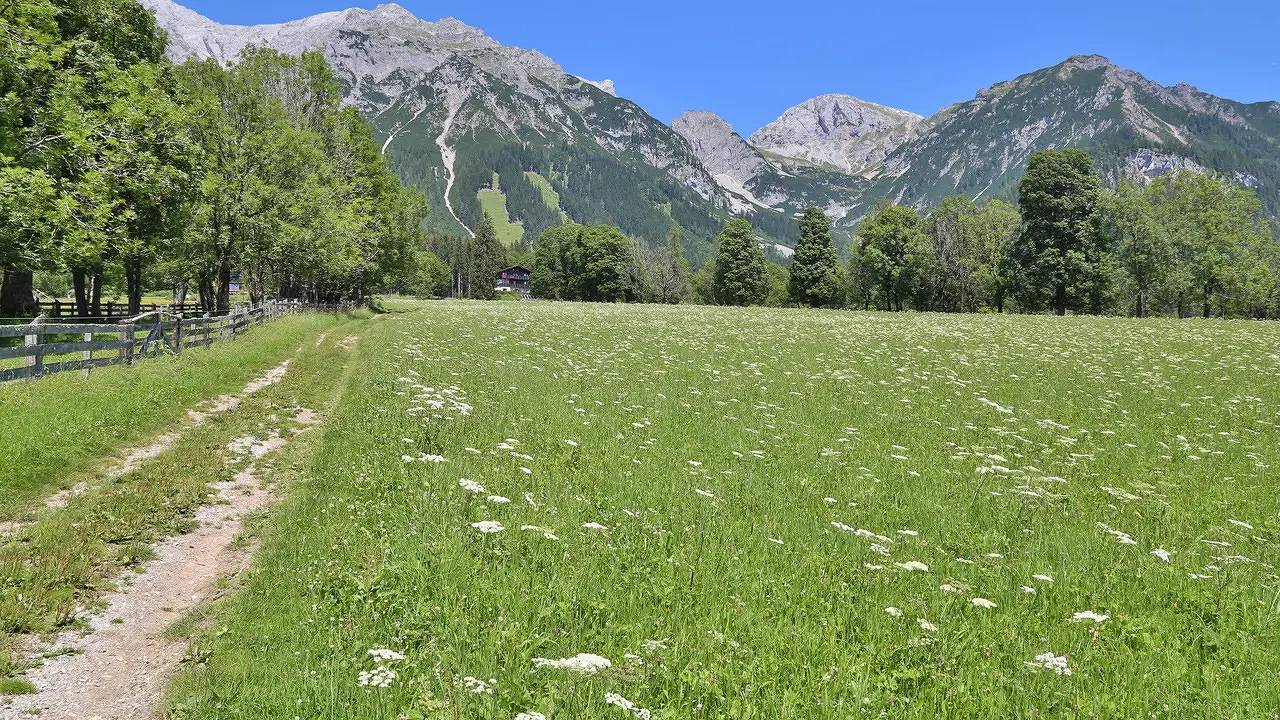 Ganze Ferienwohnung, Ferienwohnung für 3 Personen (55 m²) in Ramsau am Dachstein in Ramsau am Dachstein, Schladming-Dachstein