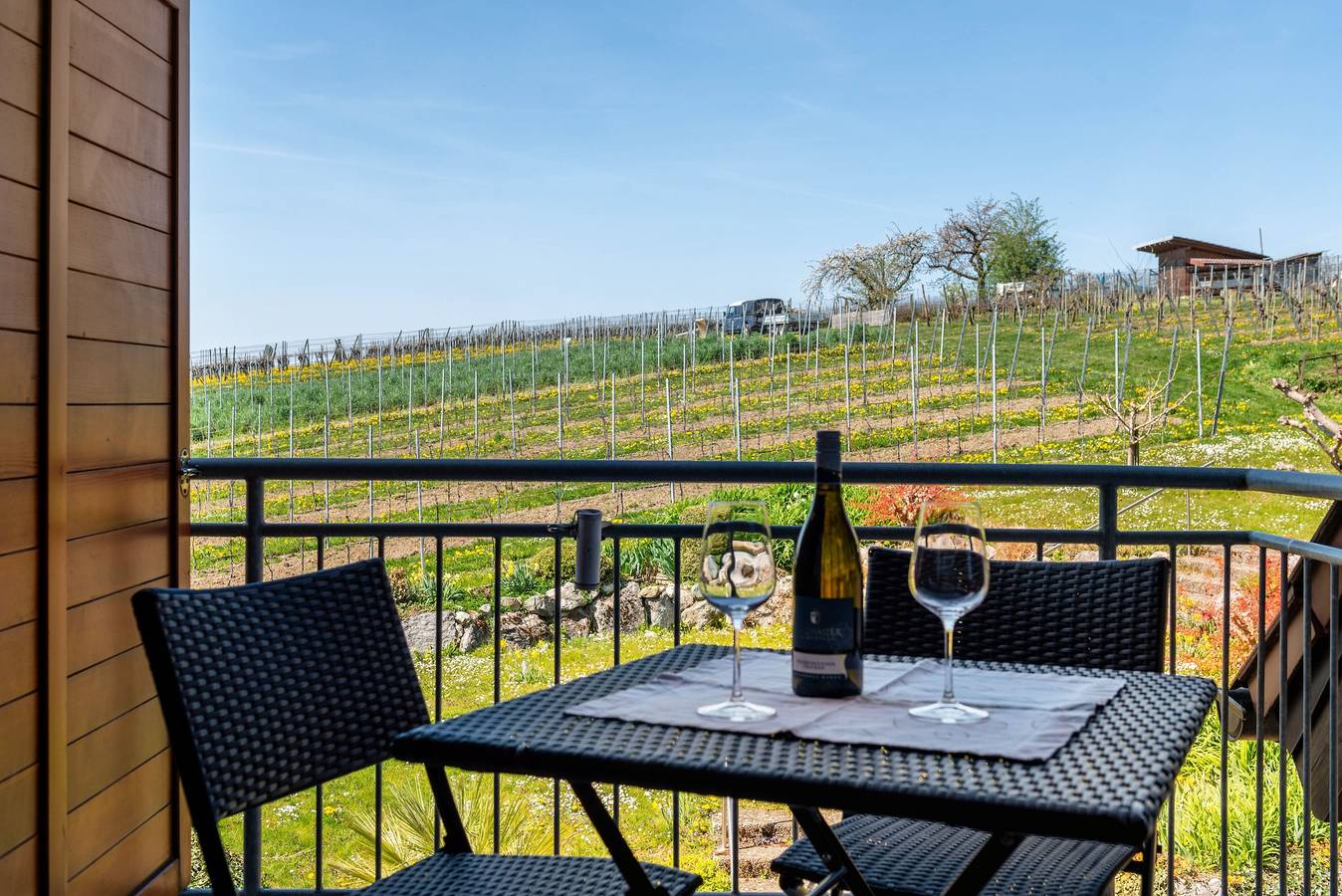 Ganze Wohnung, Ferienwohnung 2" mit Gemeinschaftsgarten, Balkon und Wlan in Hagnau am Bodensee, Region Bodensee-Oberschwaben