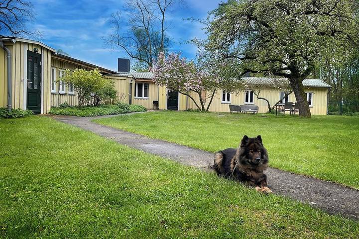 Top Lage am See - Charmantes Gelbes Bungalow mit Terrasse & Seeblick in Neuruppin, Ruppiner Seenland