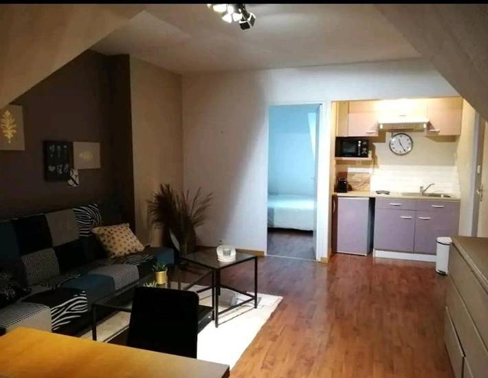 Gîte pour 2 personnes, avec terrasse, animaux acceptés à Vezin-le-Coquet - 3