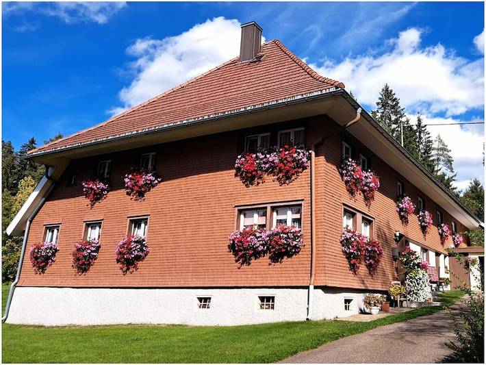 Apartamento vacacional de 1 dormitorio. in Hinterzarten, Selva Negra (zona sur)