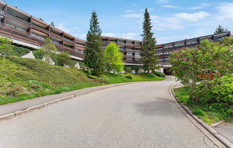 Ferienwohnung für 5 Personen, mit Sauna und Terrasse in Schonach - 2
