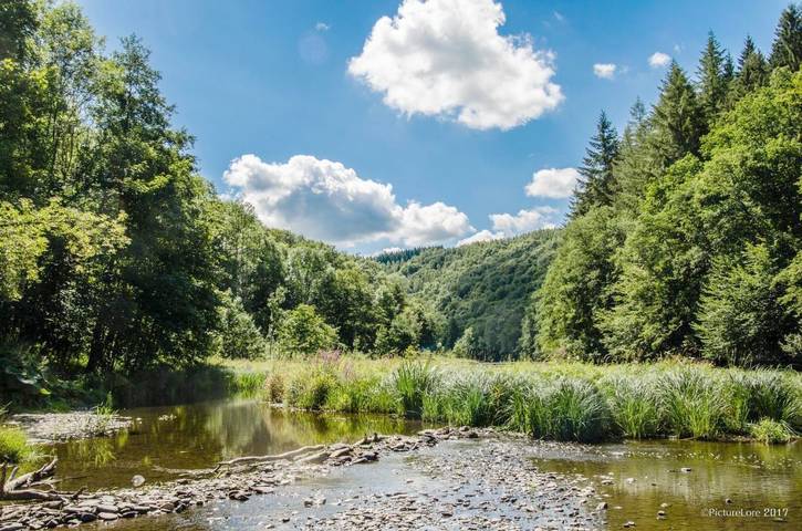 Chambre d’hôte pour 2 personnes, avec vue ainsi que terrasse et jardin, animaux acceptés au Province de Luxembourg - 4