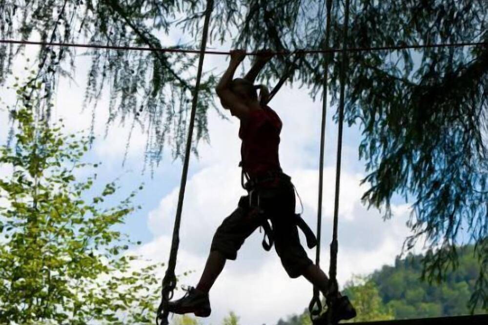La P'tite Maison Gîte Alsace à la campagne in Sickert, Parc naturel régional des Ballons des Vosges