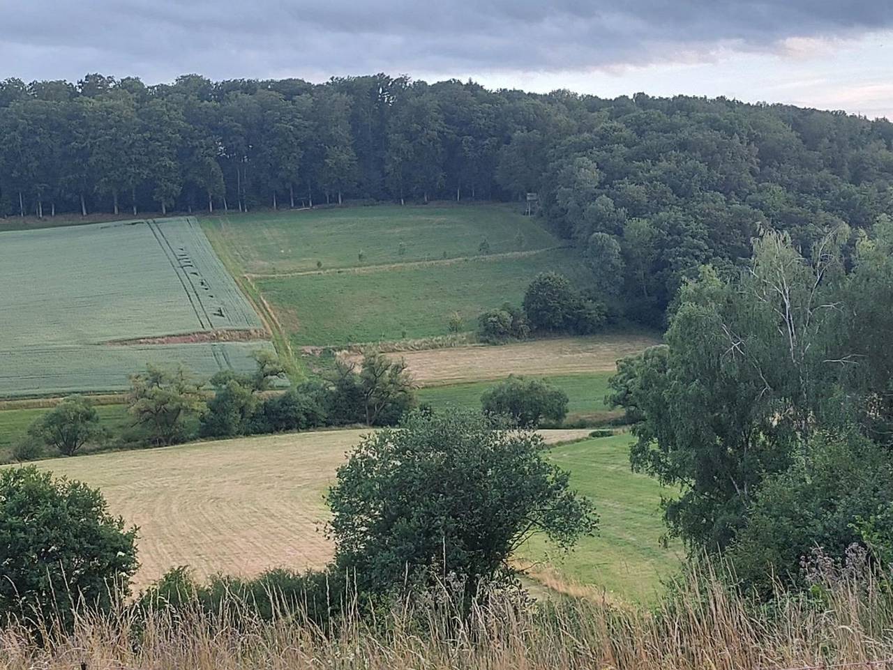 Ganze Ferienwohnung, Mühlbachhof - Ferienwohnung Mühlbachhof in Lahn-Taunus