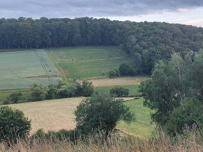 Ferienwohnung für 2 Personen, kinderfreundlich in Rheinland-Pfalz - 4