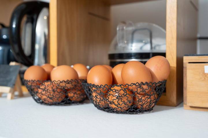 Hôtel pour 3 personnes, avec terrasse, animaux acceptés à Arc-et-Senans - 3