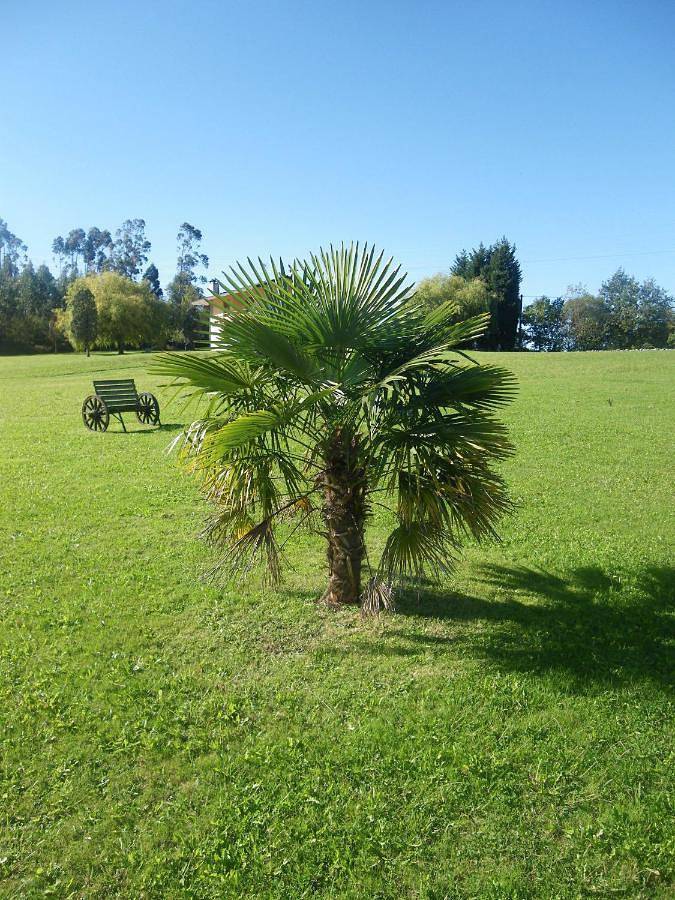 Hotel para 2 personas, con jardín y terraza en Vizcaya - 2