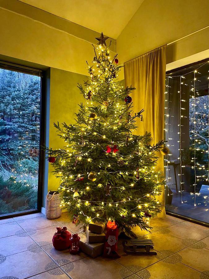 Chalet para 11 personas, con jardín - 1